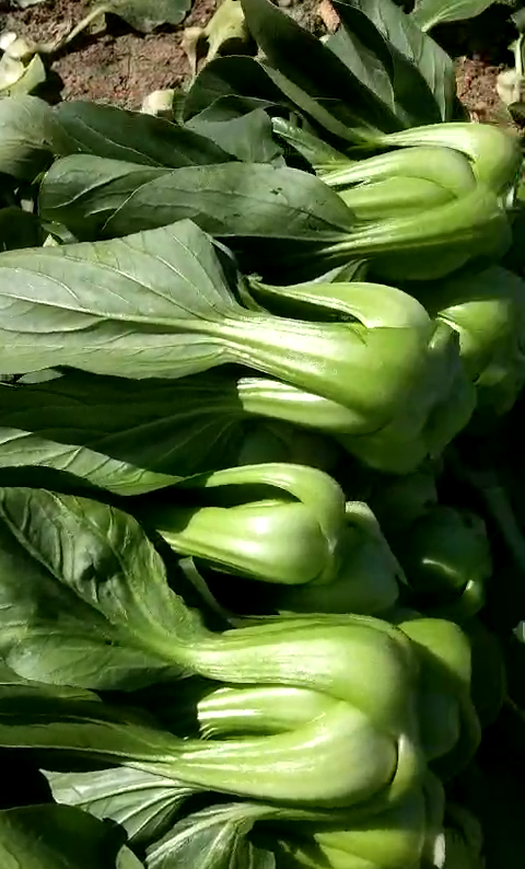 1600250926252750.png 04.png