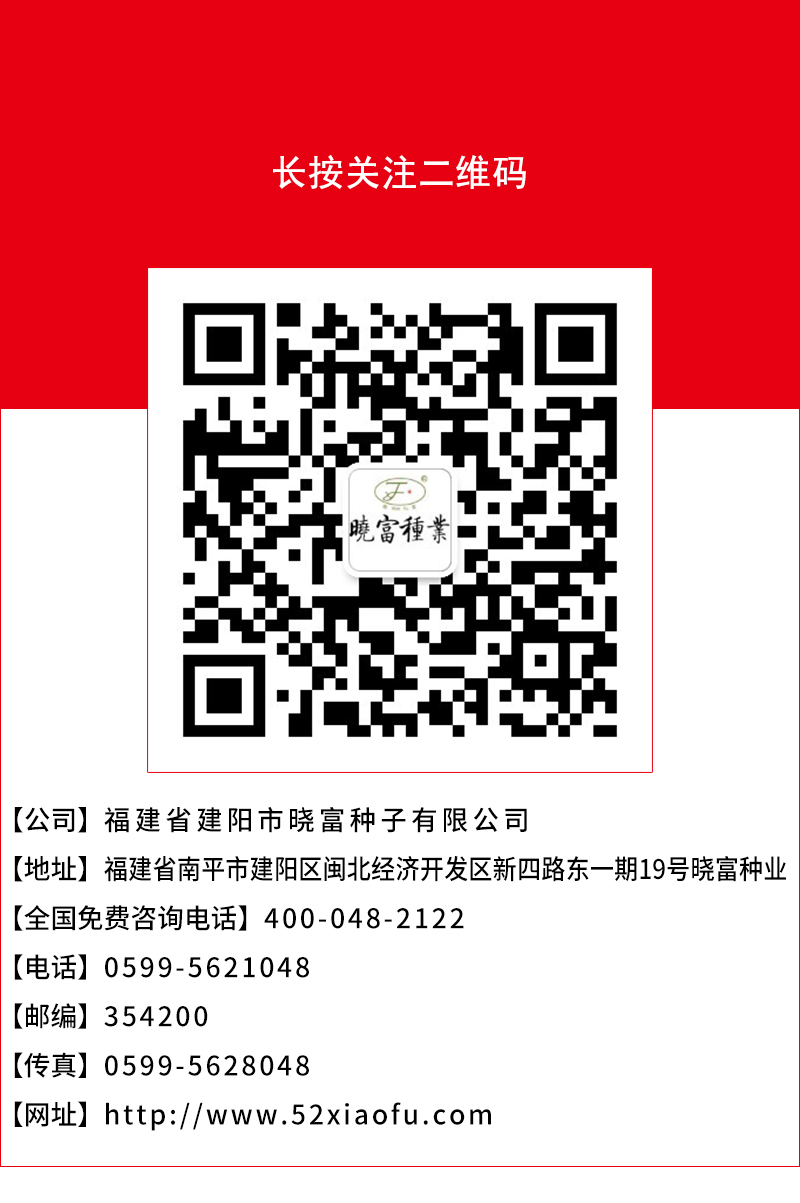 1608451151381989.jpg 頁底.jpg